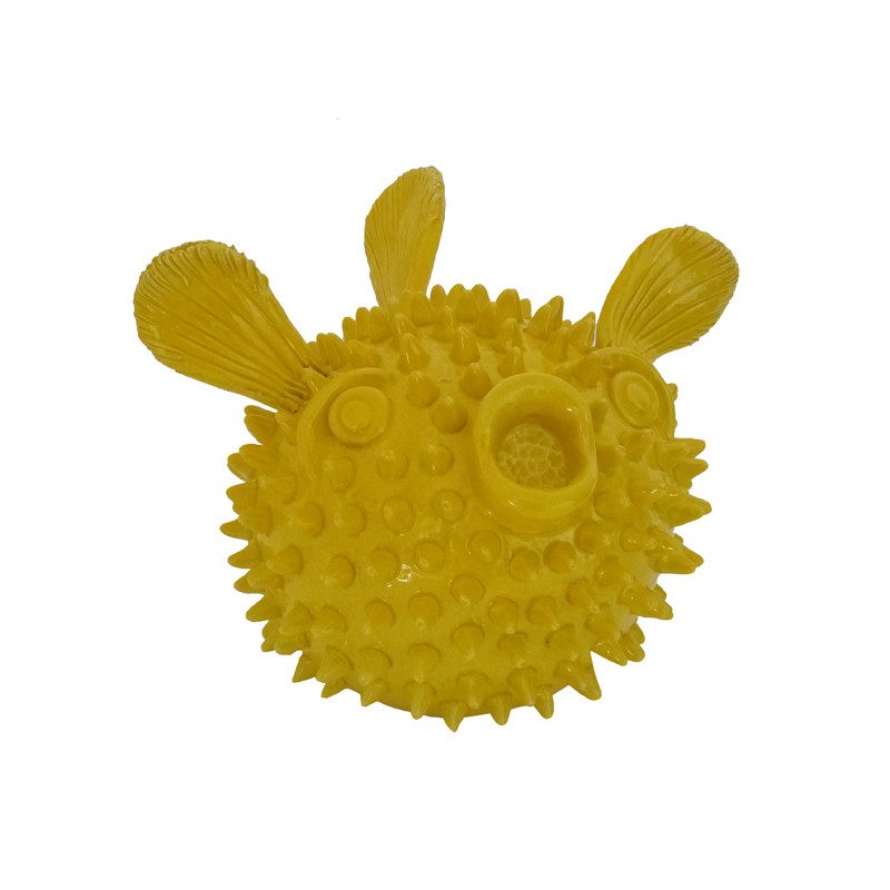 pesce-palla-gialla.jpg pesce palla gialla
